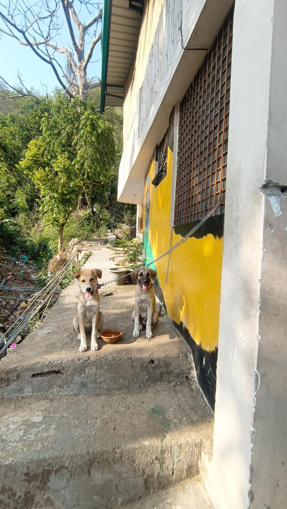 Blabla House Rishikesh Hostel Екстериор снимка