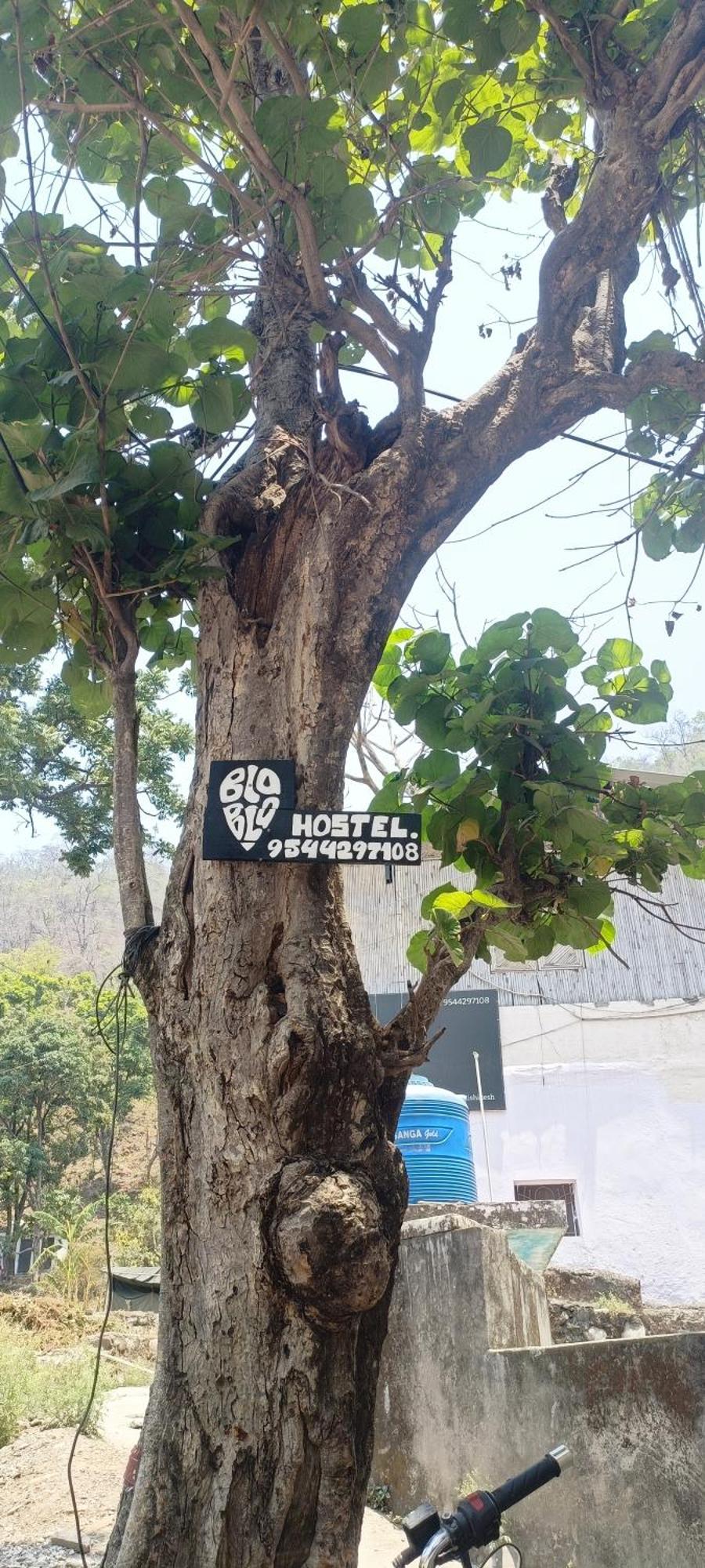 Blabla House Rishikesh Hostel Екстериор снимка